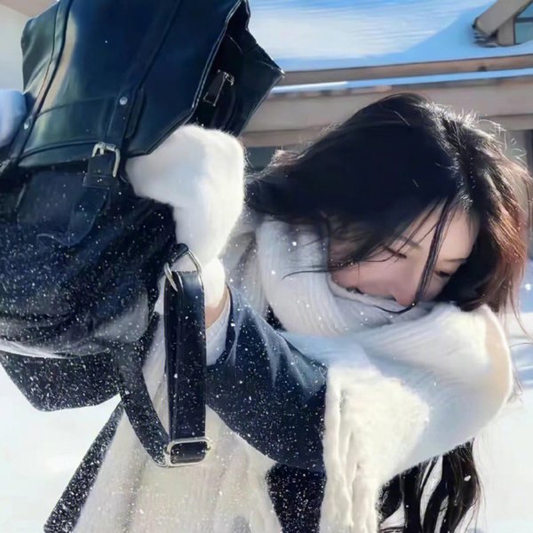 修罗雪姬海报